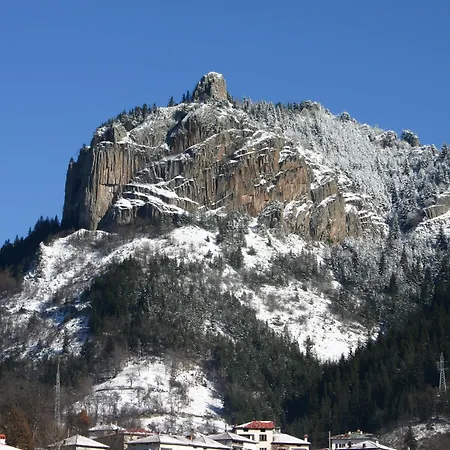 дара سموليان